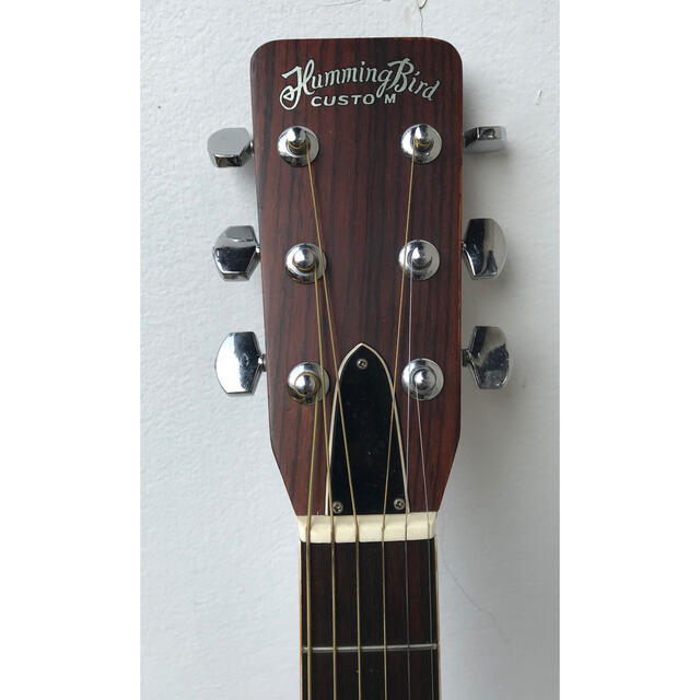 TOKAI / HUMMINGBIRD CUSTOM M W-250 | rotarastreia.com.br