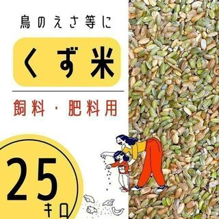 くず米 25kg 青米 小米 肥料 鳥の餌 飼料 玄米 安い 小動物 にわとり(米/穀物)