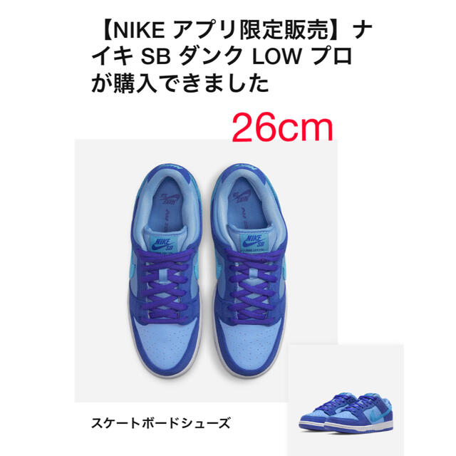 Nike SB Dunk Low  ナイキ SB ダンク ロー ブルーラズベリー