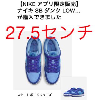 ナイキ(NIKE)のNIKE ダンクLOW BLUE RASPBERRY(スニーカー)