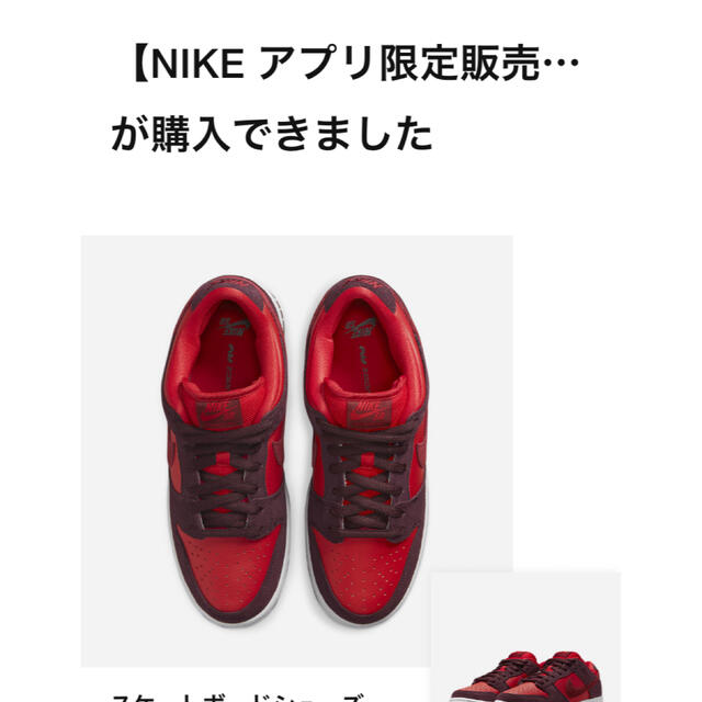 Nike SB Dunk Low "Cherry"