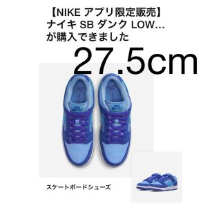 ナイキ(NIKE)のナイキ SB ダンク ロー ブルーラズベリー(スニーカー)