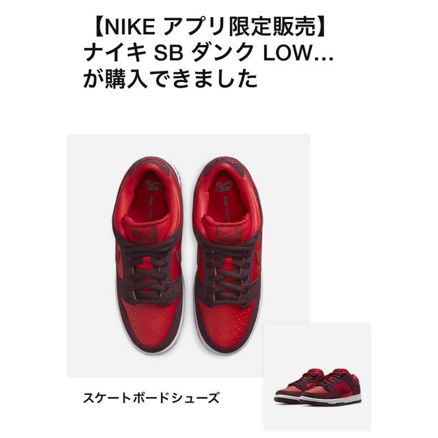 NIKE SB DUNK LOW "cherry" 29cm