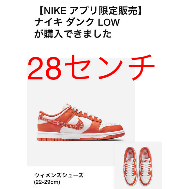 Nike WMNS Dunk Low ESS "Orange Paisley"靴/シューズ