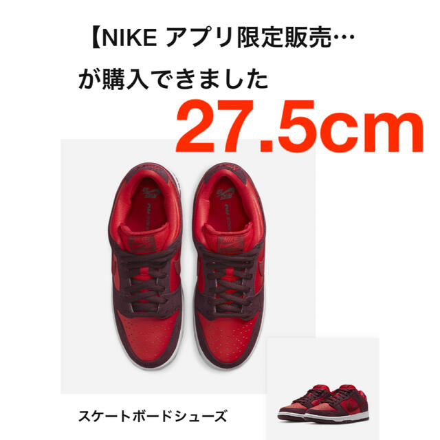 NIKE(ナイキ)のNike SB Dunk Low "Cherry" メンズの靴/シューズ(スニーカー)の商品写真