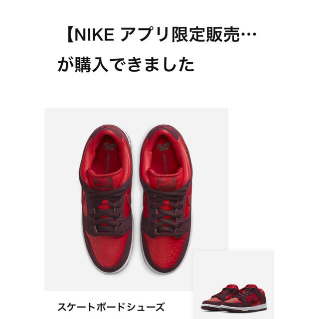 靴/シューズNIKE SB DUNK LOW "cherry" 27.5cm