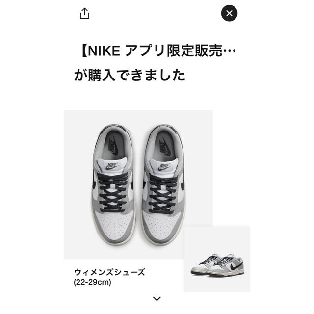 NIKE(ナイキ)のNike Dunk Low White Light Smoke Grey メンズの靴/シューズ(スニーカー)の商品写真