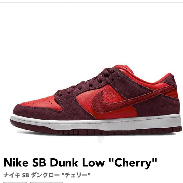 Nike SB Dunk Low ナイキ SB ダンクロー 