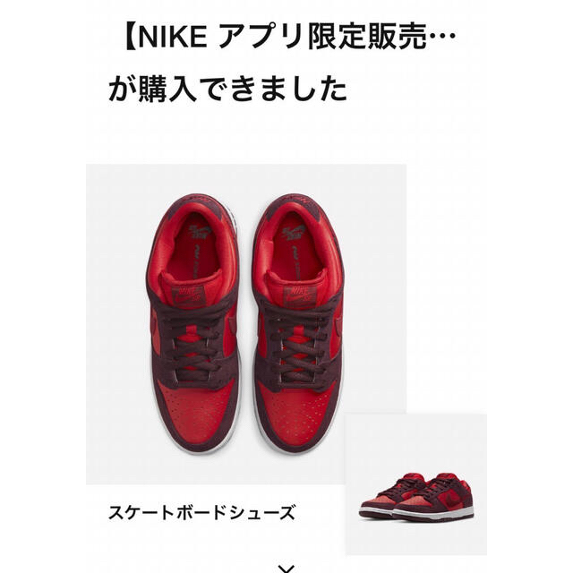 Nike SB Dunk Low "Cherry" 1