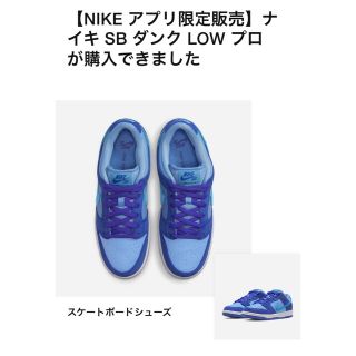 ナイキ(NIKE)のナイキ SB ダンク ロー "ブルーラズベリー"(スニーカー)