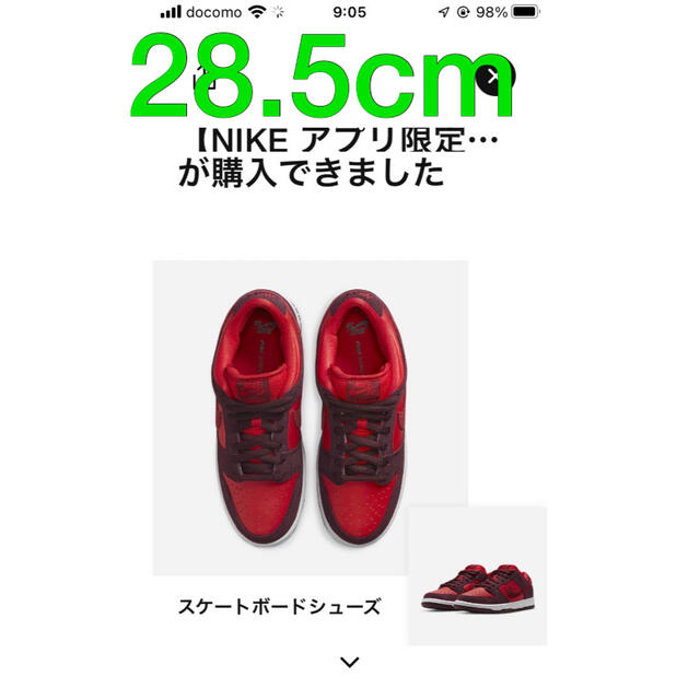 Nike SB Dunk Low "Cherry"靴/シューズ