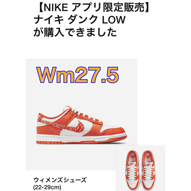 NIKE(ナイキ)のNike WMNS Dunk Low ESS "Orange Paisley メンズの靴/シューズ(スニーカー)の商品写真