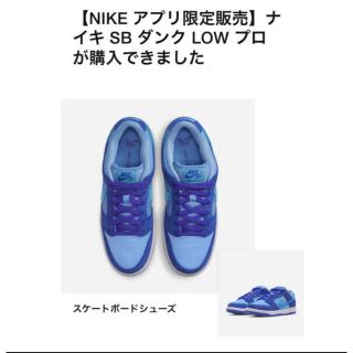 ナイキ(NIKE)の最終値下げ　27.5cm ナイキ SB ダンク ロー ブルーラズベリー　(スニーカー)