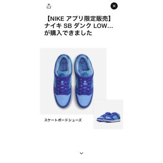 ナイキ(NIKE)のnike sb dunk low Blue ブルー ラズベリー ナイキ ダンク(スニーカー)