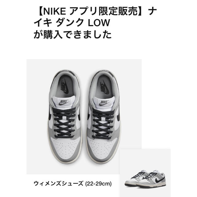 Nike Dunk Low White Light Smoke Grey