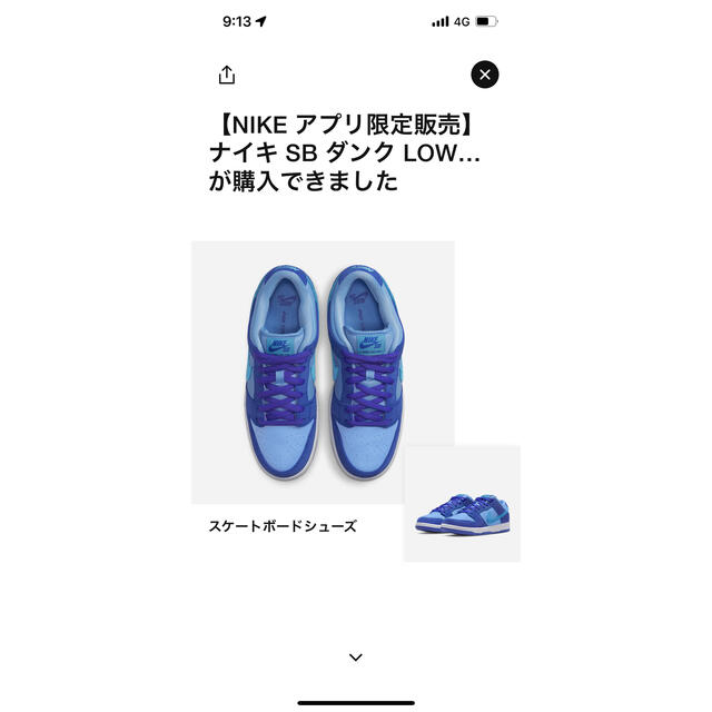 Nike SB Dunk low   ブルーラズベリー靴/シューズ