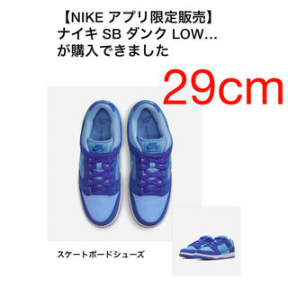 ナイキ(NIKE)のnike sb dunk low blue raspberry(スニーカー)