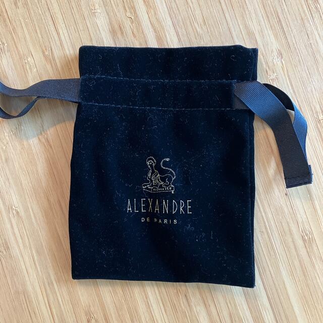 アレクサンドル ドゥ パリ ショッパー 紙袋 保存袋