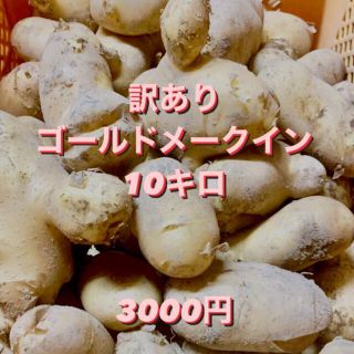 鹿児島県産 新じゃがいも ゴールドメークイン10キロ(野菜)