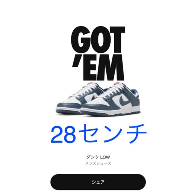 メンズNike Dunk Low "Valerian Blue" "バレリアンブルー"