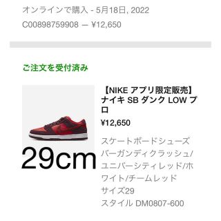 Nike dunk sb cherry(スニーカー)