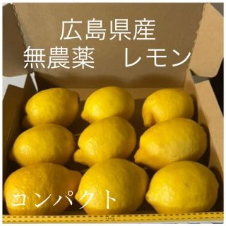 国産　レモン　広島県産　無農薬　レモン　瀬戸内レモン　コンパクト　産地直送(フルーツ)