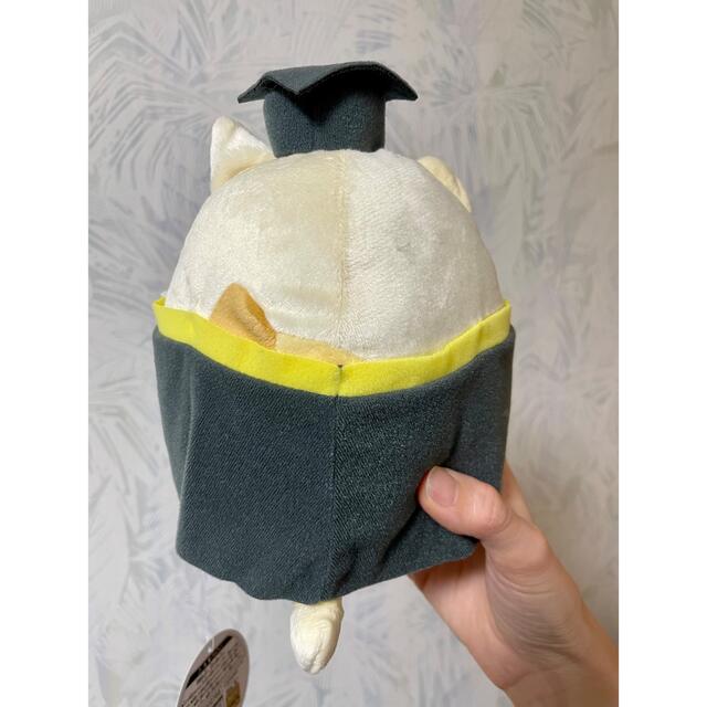 サンエックス(サンエックス)の【新品】すみっコぐらし ねこ アカデミックガウン ぬいぐるみ プライズ 景品 エンタメ/ホビーのおもちゃ/ぬいぐるみ(ぬいぐるみ)の商品写真