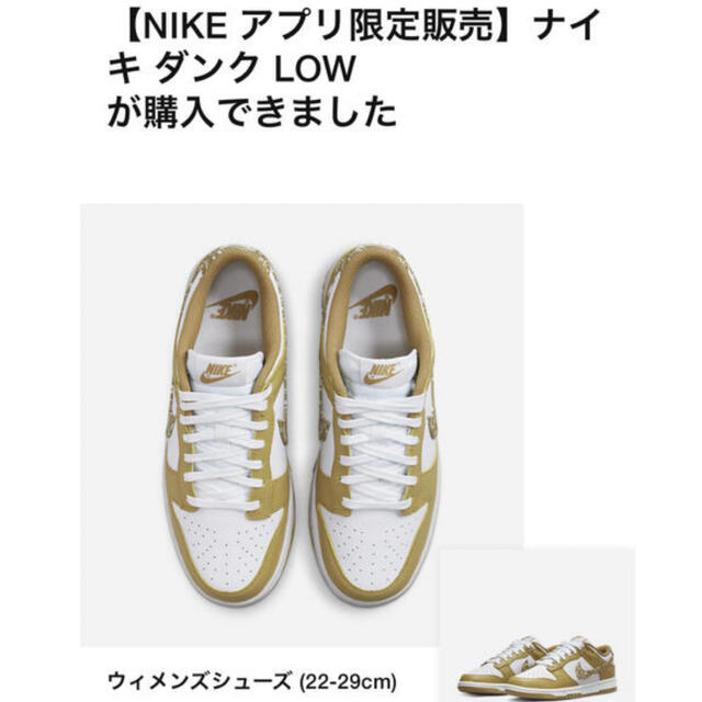 NIKE(ナイキ)のNike WMNS Dunk Low ESS "Barley Paisley" メンズの靴/シューズ(スニーカー)の商品写真