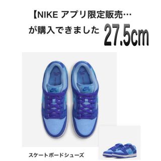 ナイキ(NIKE)のナイキ SB ダンク ロー ブルーラズベリー(スニーカー)