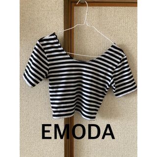 エモダ(EMODA)のEMODA エモダ　ボーダー Tシャツ ミニ丈　ショート丈　クロップド　トップス(Tシャツ(半袖/袖なし))