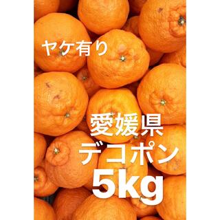 愛媛県産　デコポン　柑橘　5kg(フルーツ)