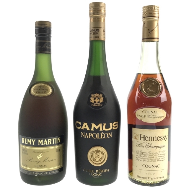 3本 REMY MARTIN CAMUS Hennessy コニャック - pakalanainn.com