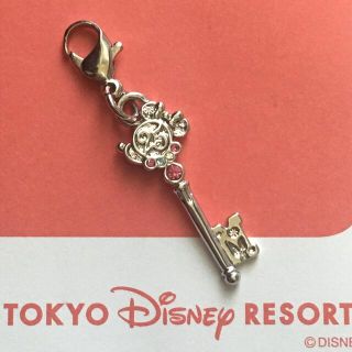 ディズニー(Disney)の【美品】 TDL 25th ドリームキー マスク チャーム ストラップ(キャラクターグッズ)