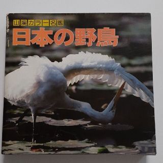 三渓カラー名鑑　日本の野鳥　1985年 第１刷発行(趣味/スポーツ/実用)