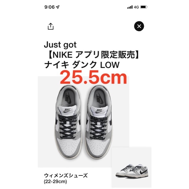 スニーカー NIKE - Nike WMNS Dunk Low  Light Smoke grey