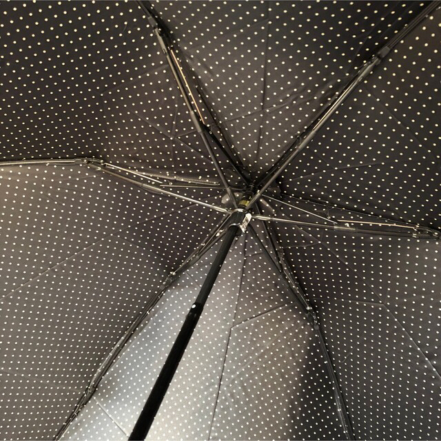 AQUA SCUTUM(アクアスキュータム)の【送料込】【新品】晴雨兼用傘　アクアスキュータム　UV  日傘 レディースのファッション小物(傘)の商品写真