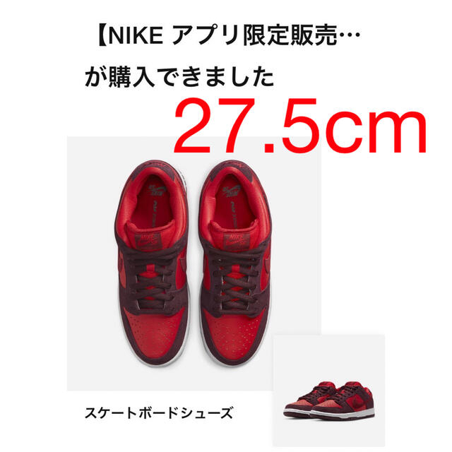 靴/シューズNIKE SB DUNK LOW "cherry"  27.5