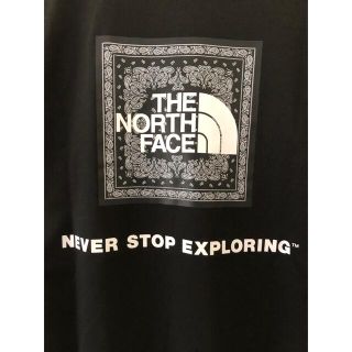 ザノースフェイス(THE NORTH FACE)の[美品]ザ　ノースフェイス　バンダナ柄バックプリントTシャツ　Ｍサイズ(Tシャツ/カットソー(半袖/袖なし))