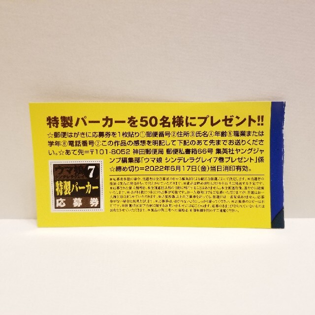 ウマ娘　シンデレラグレイ　当選品　50名　特製パーカー