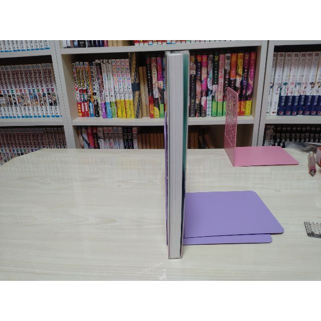 槙ようこ　画集 エンタメ/ホビーの漫画(イラスト集/原画集)の商品写真