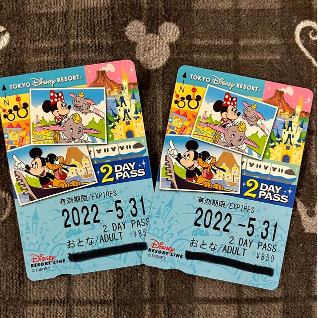 Disney(ディズニー)のリゾートライン　フリーきっぷ 2day pass チケットの施設利用券(遊園地/テーマパーク)の商品写真