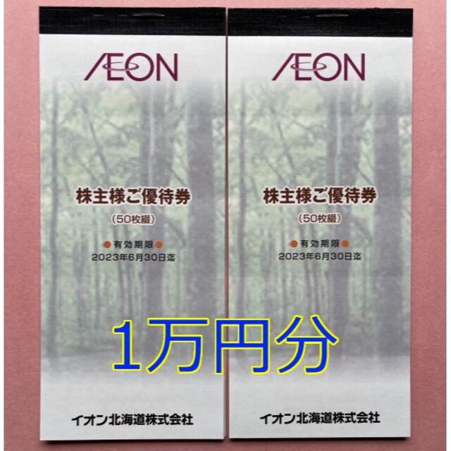 イオン北海道 株主優待券 10000円分 有効期限2024年6月30日迄 - 通販