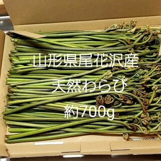 山形県尾花沢産　天然わらび　約700g(野菜)