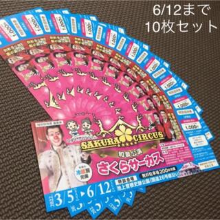さくらサーカス 和泉公演 特別招待券 非売品 １０枚セット(サーカス)