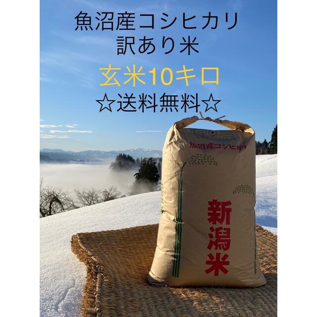 10kg　玄米　米/穀物　令和2年度産(古米)　減農薬　魚沼産コシヒカリ　低農薬