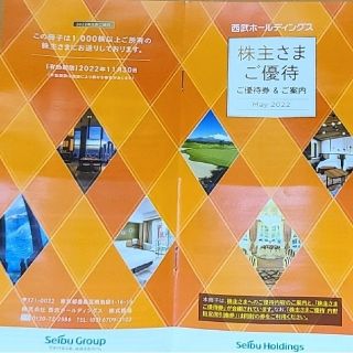 サイタマセイブライオンズ(埼玉西武ライオンズ)の【最新】2022年 西武HD 西武鉄道 株主優待券(その他)