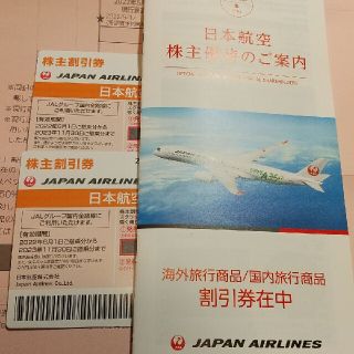 JAL 株主優待券 日本航空　2枚(その他)