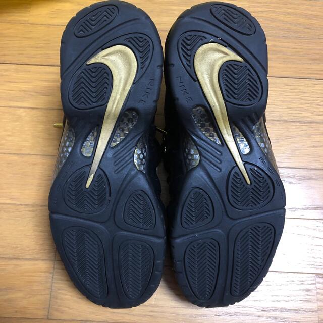 NIKE フォームポジット　プロ 2