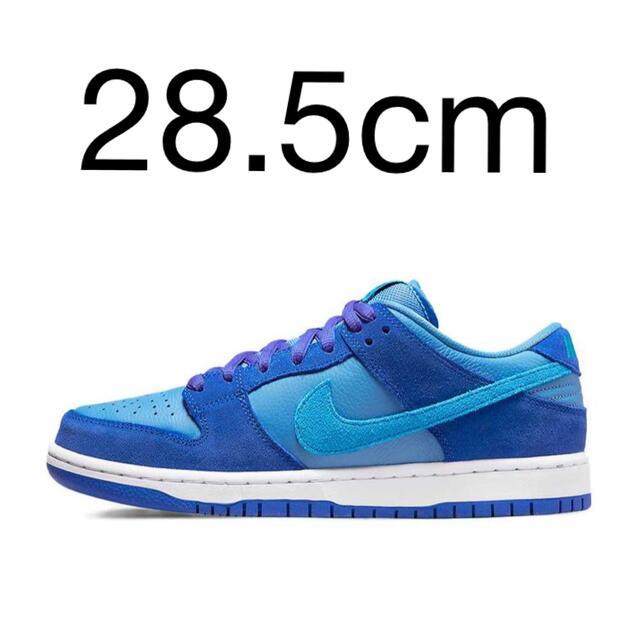 28.5 Nike SB Dunk Low Pro Blue Raspberry