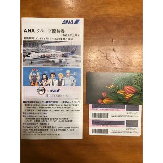 エーエヌエー(ゼンニッポンクウユ)(ANA(全日本空輸))のANA株式優待　2枚＋冊子(その他)